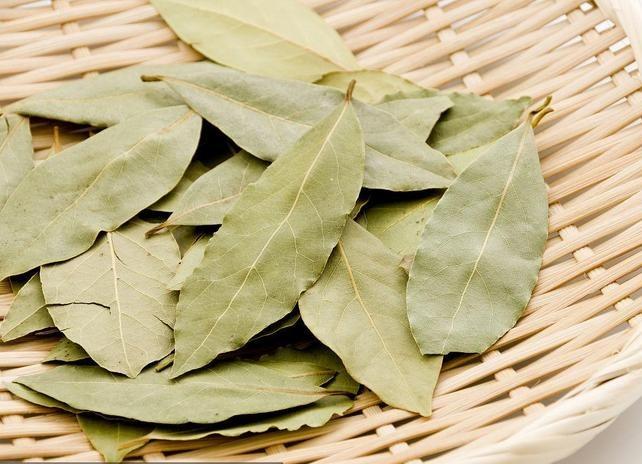 Hoja de laurel (Xiang Ye) Especia de primera calidad para uso culinario y herbolario (1)