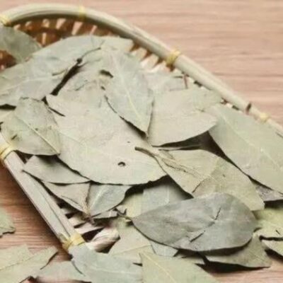 Hoja de laurel (Xiang Ye) Especia de primera calidad para uso culinario y herbolario (3)