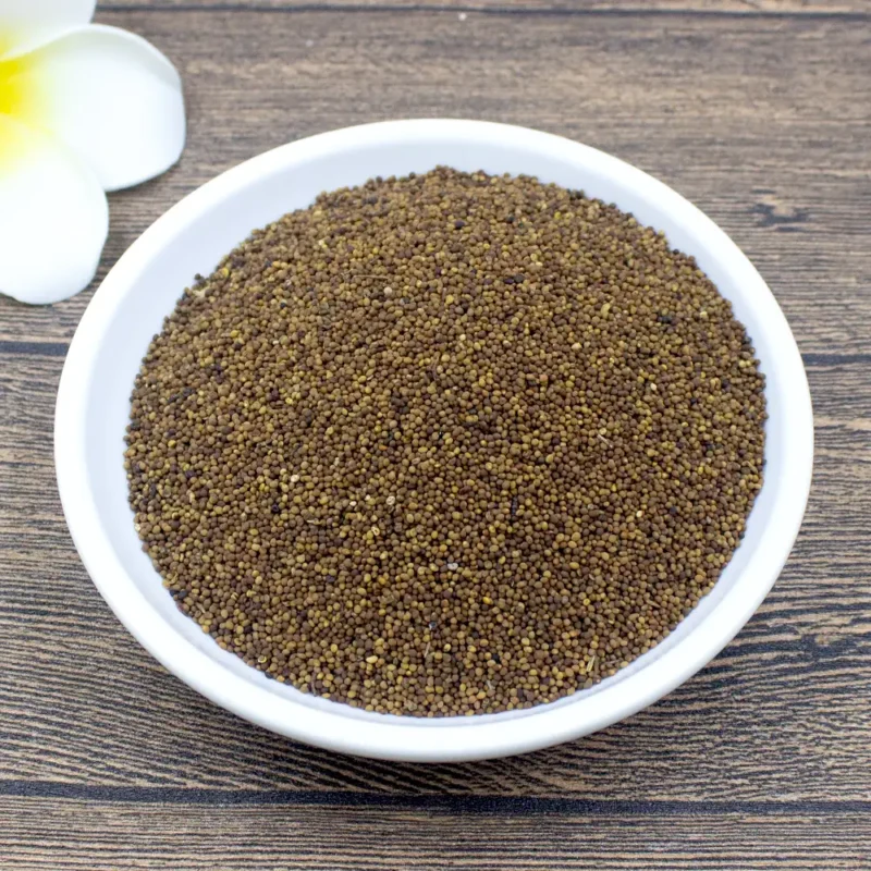Semi di Cuscuta all'ingrosso (Tu Si Zi) Fornitore & Produttore (1)