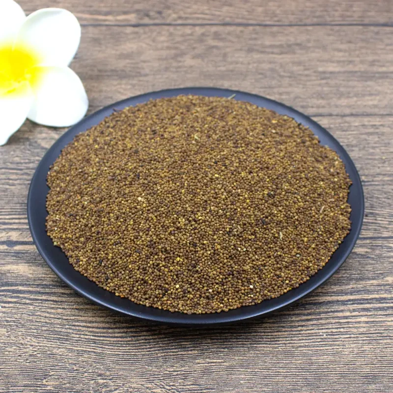 Semi di Cuscuta all'ingrosso (Tu Si Zi) fornitore e produttore (3)