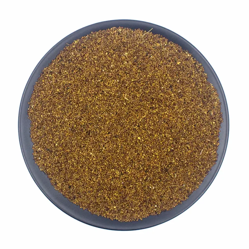 Semi di Cuscuta all'ingrosso (Tu Si Zi) fornitore e produttore (4)