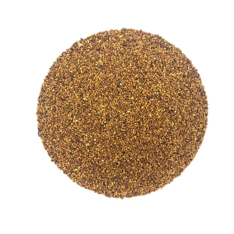 Semi di Cuscuta all'ingrosso (Tu Si Zi) fornitore e produttore (5)