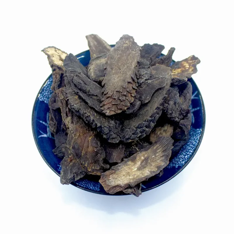 Cistanche (Rou Cong Rong) Racine végétale chinoise en gros (4)