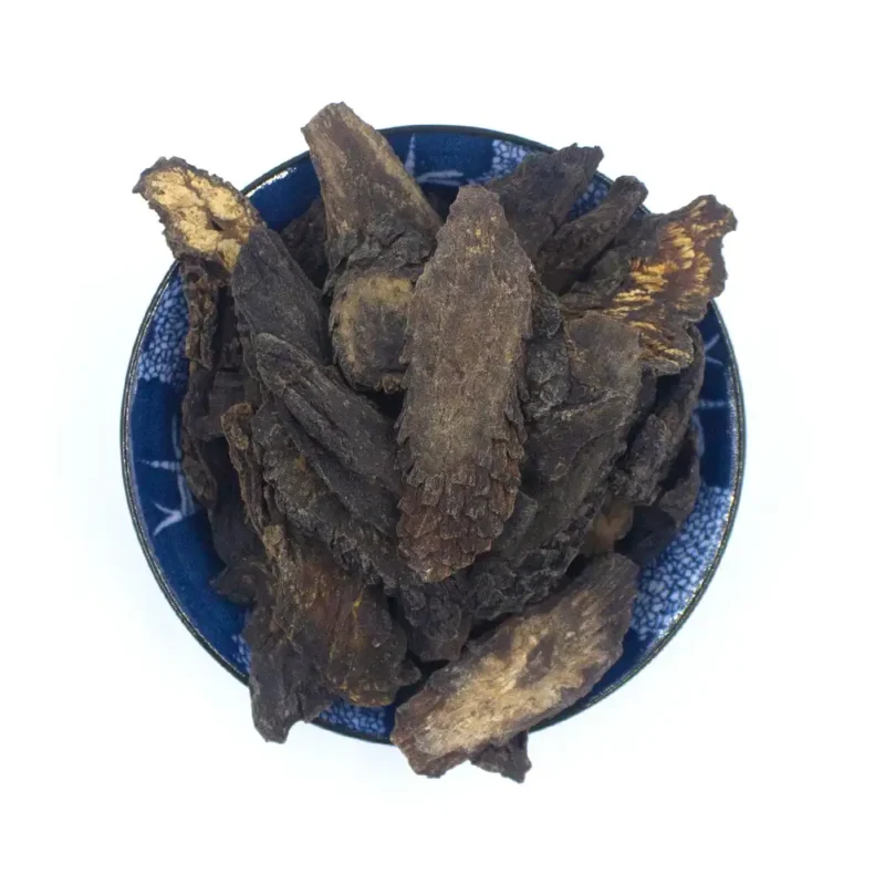 Cistanche (Rou Cong Rong) Racine végétale chinoise en gros (5)