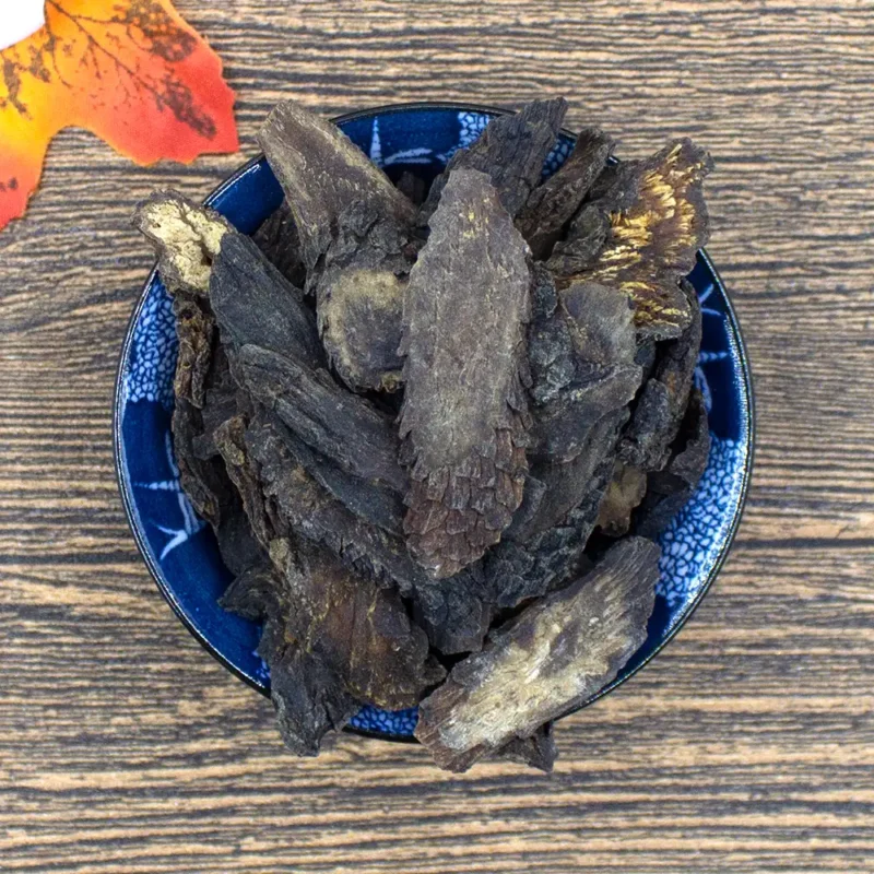 Cistanche (Rou Cong Rong) Racine végétale chinoise en gros (6)