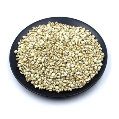 Graine de coix (Yi Yi Ren) Fabricant en gros d'herbes médicinales chinoises (3)