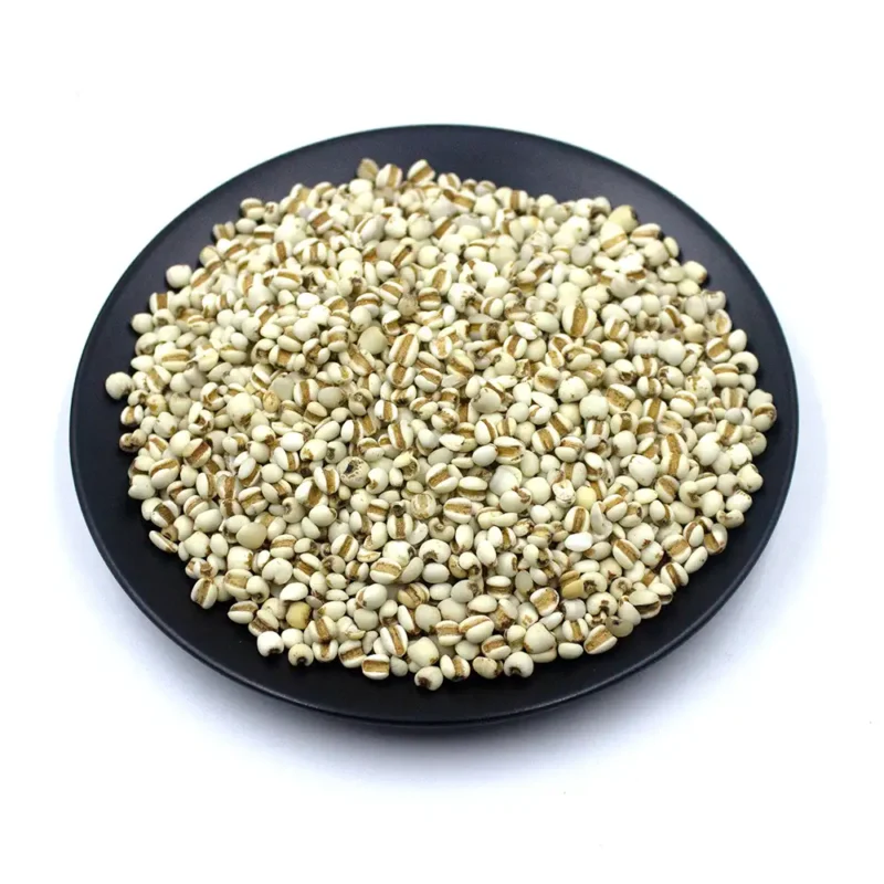 Graine de coix (Yi Yi Ren) Fabricant en gros d'herbes médicinales chinoises (3)
