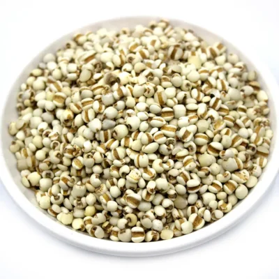 Graine de coix (Yi Yi Ren) Fabricant en gros d'herbes médicinales chinoises (5)