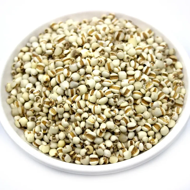 Graine de coix (Yi Yi Ren) Fabricant en gros d'herbes médicinales chinoises (5)