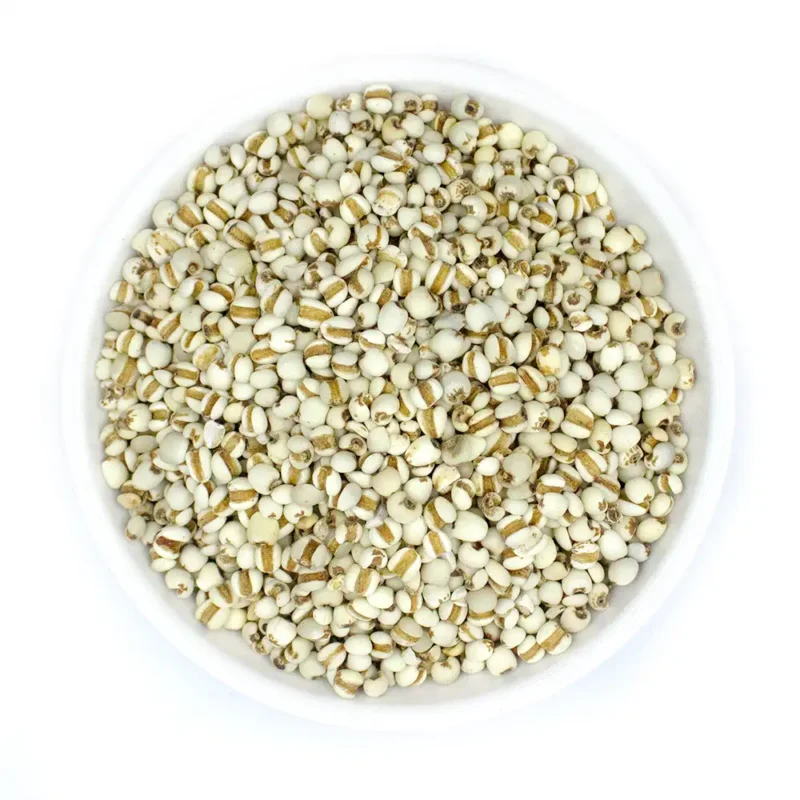 Graine de coix (Yi Yi Ren) Fabricant en gros d'herbes médicinales chinoises (6)