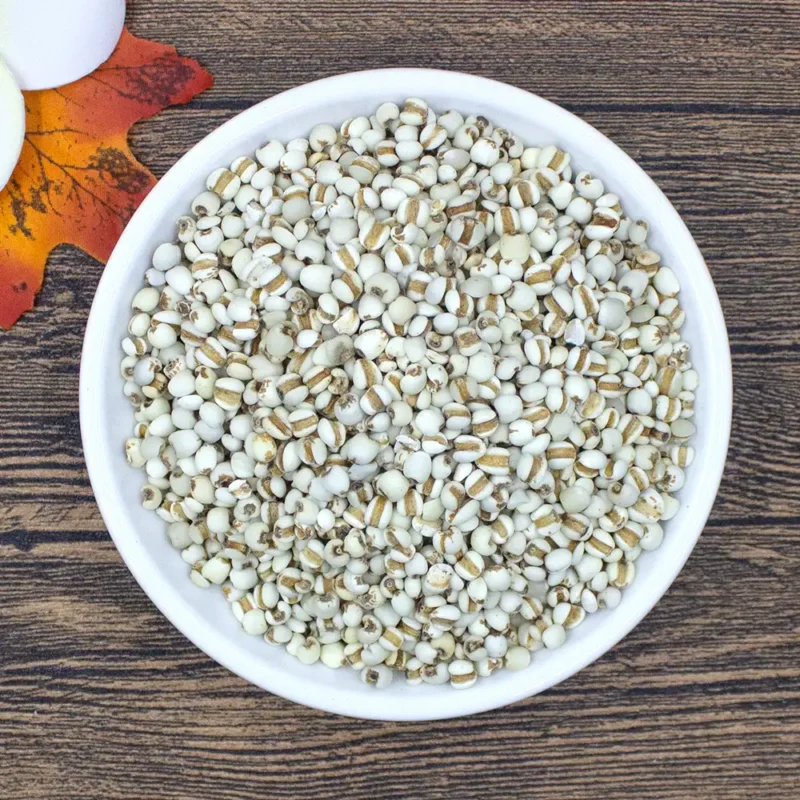 Graine de coix (Yi Yi Ren) Fabricant en gros d'herbes médicinales chinoises (7)