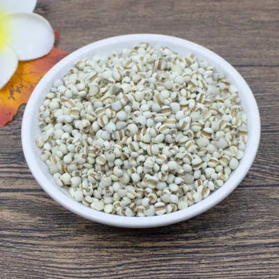 Graine de coix (Yi Yi Ren) Fabricant en gros d'herbes médicinales chinoises (8)