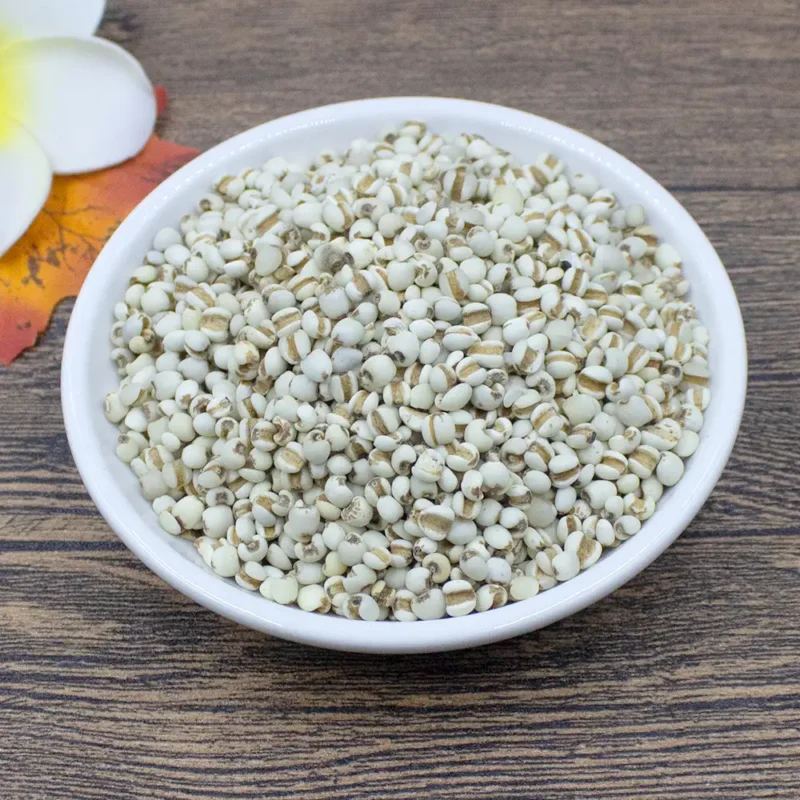 Graine de coix (Yi Yi Ren) Fabricant en gros d'herbes médicinales chinoises (8)