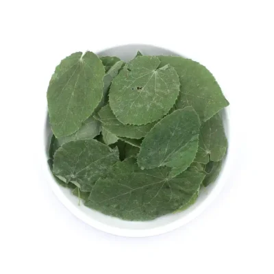 Epimedium Hoja (Xiao Ye Yin Yang Huo) Suministro a granel OEM Medicina China Fabricante (1)