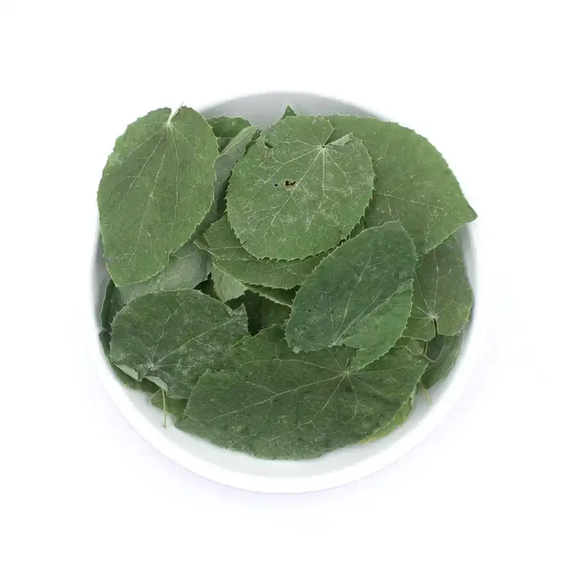 Epimedium Hoja (Xiao Ye Yin Yang Huo) Suministro a granel OEM Medicina China Fabricante (1)