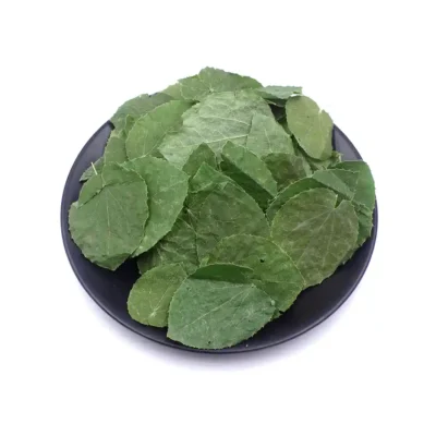 Hoja de Epimedium (Xiao Ye Yin Yang Huo) Suministro a Granel OEM Fabricante de Medicina China (2)