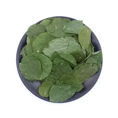 Epimedium Hoja (Xiao Ye Yin Yang Huo) Suministro a Granel OEM Medicina China Fabricante (3)