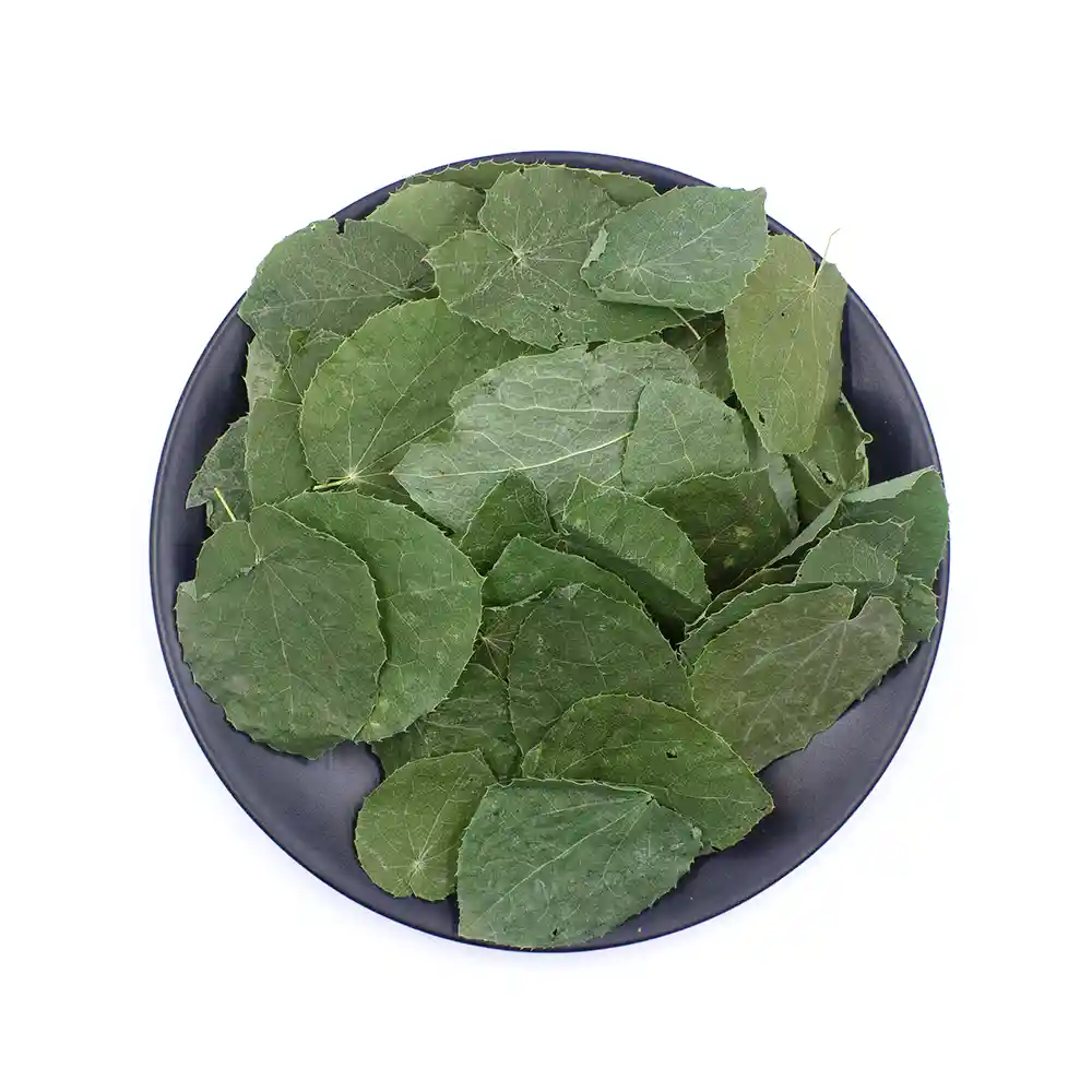 Epimedium Hoja (Xiao Ye Yin Yang Huo) Suministro a Granel OEM Medicina China Fabricante (3) Epimedium Hoja (Xiao Ye Yin Yang Huo) Suministro a Granel OEM Medicina China Fabricante (3)