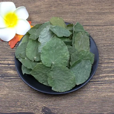 Hoja de Epimedium (Xiao Ye Yin Yang Huo) Suministro a Granel OEM Fabricante de Medicina China (4)