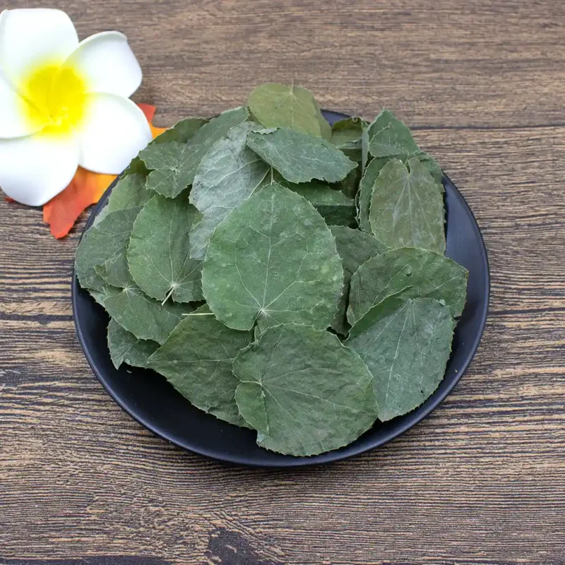 Hoja de Epimedium (Xiao Ye Yin Yang Huo) Suministro a Granel OEM Fabricante de Medicina China (4)