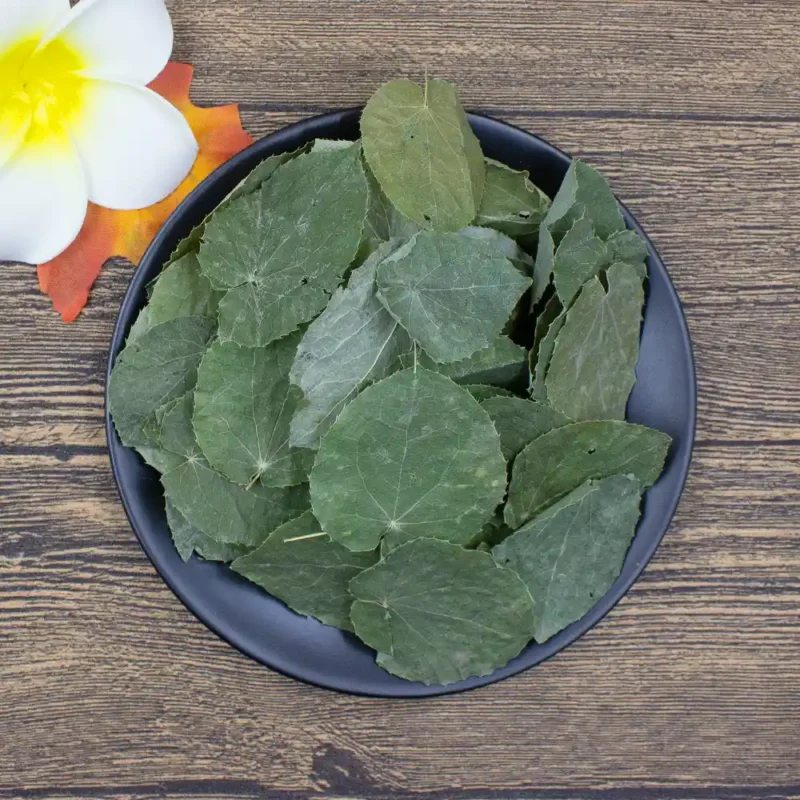 Epimedium Hoja (Xiao Ye Yin Yang Huo) Suministro a granel OEM Medicina China Fabricante (5)