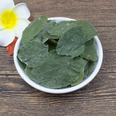 Hoja de Epimedium (Xiao Ye Yin Yang Huo) Suministro a Granel OEM Fabricante de Medicina China (6)
