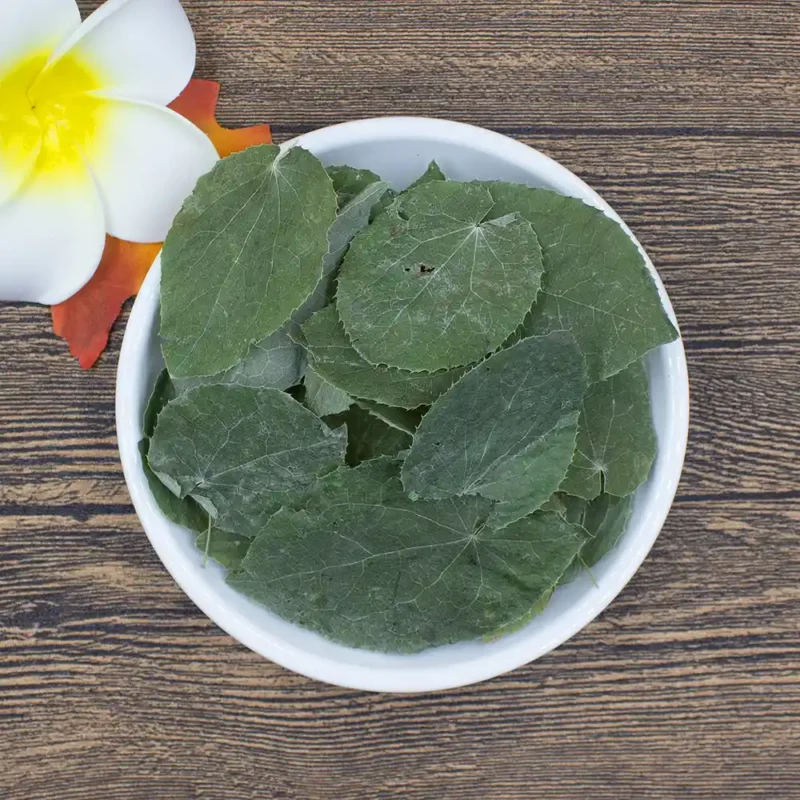 Epimedium Hoja (Xiao Ye Yin Yang Huo) Suministro a granel OEM Medicina China Fabricante (7)