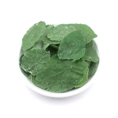 Epimedium Hoja (Xiao Ye Yin Yang Huo) Suministro a granel OEM Medicina China Fabricante (8)