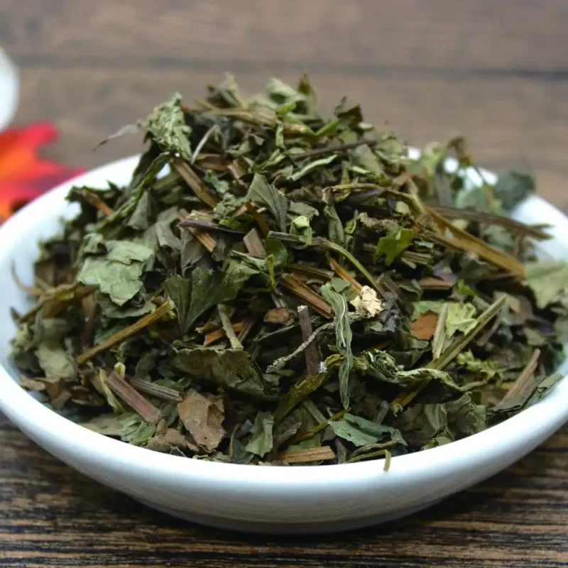 Menthe de poisson (Yu Xing Cao) Bulk order Dried Chinese Medicine Supplier (1)