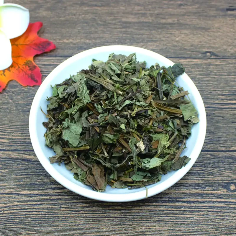 Menthe de poisson (Yu Xing Cao) Bulk order Dried Chinese Medicine Supplier (5)