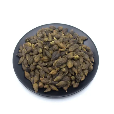 Fruta Forsythia (Lian Qiao) Proveedor de Medicina China a Granel (2)