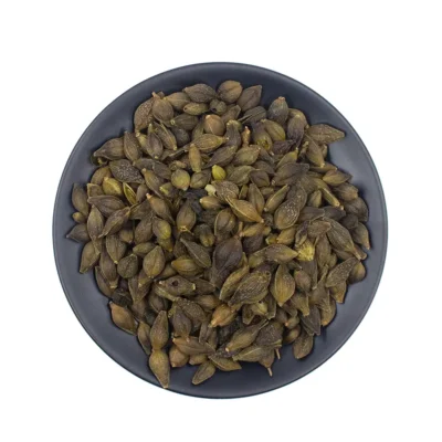 Fruta Forsythia (Lian Qiao) Proveedor de Medicina China a Granel (3)