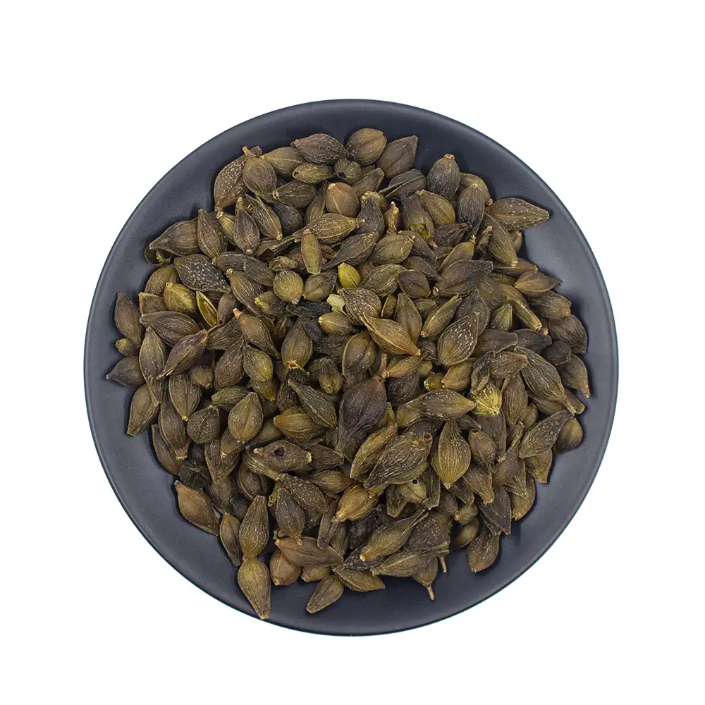 Fruta Forsythia (Lian Qiao) Proveedor de Medicina China a Granel (3)