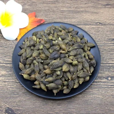 Fruta Forsythia (Lian Qiao) Proveedor de Medicina China a Granel (4)