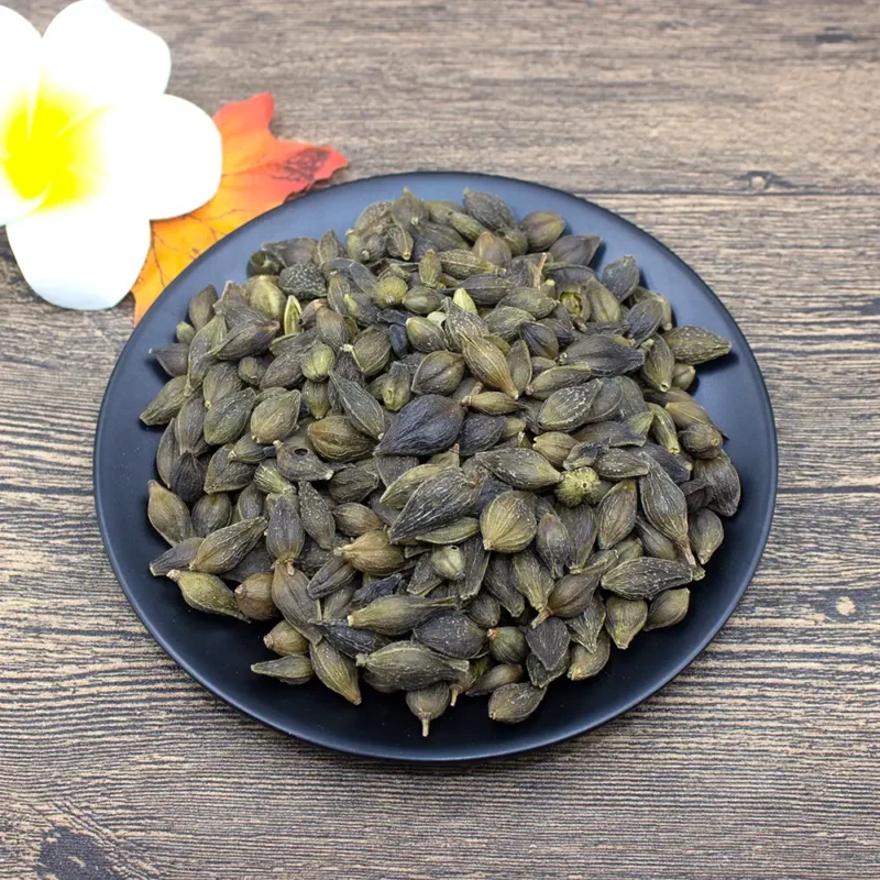 Fruta Forsythia (Lian Qiao) Proveedor de Medicina China a Granel (4)