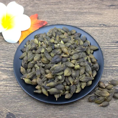 Fruta Forsythia (Lian Qiao) Proveedor de Medicina China a Granel (6)