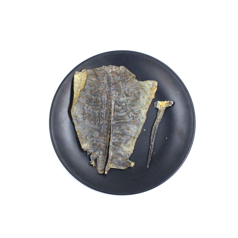 Gecko (Ha Jie) Bulk Chinese Medicinal Supplier (1)