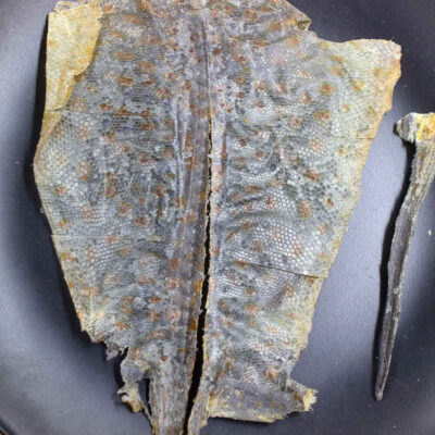 Gecko (Ha Jie) Bulk Chinese Medicinal Supplier (4)