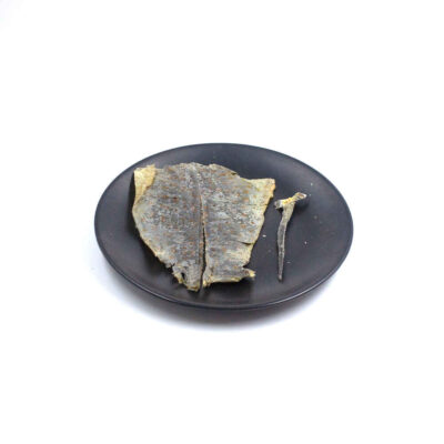 Gecko (Ha Jie) Bulk Chinese Medicinal Supplier (5)