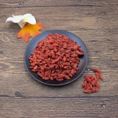 Bayas de Goji (Gou Qi Zi) Suministro a Granel Fabricante de Hierbas Chinas (7)