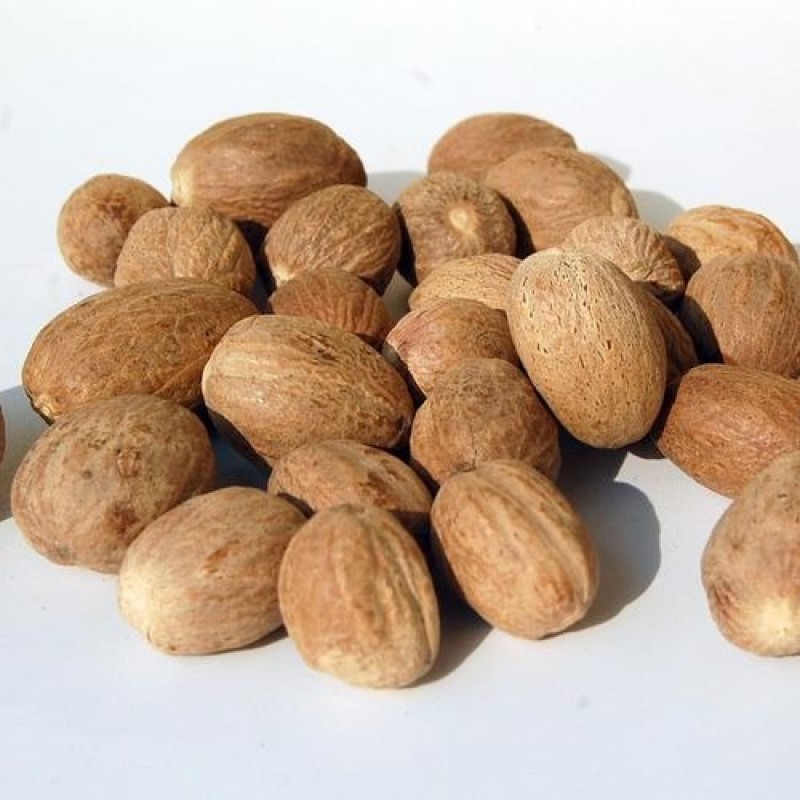 Macis (Rou Kou) Fabricante de Especias Premium a Granel (2)