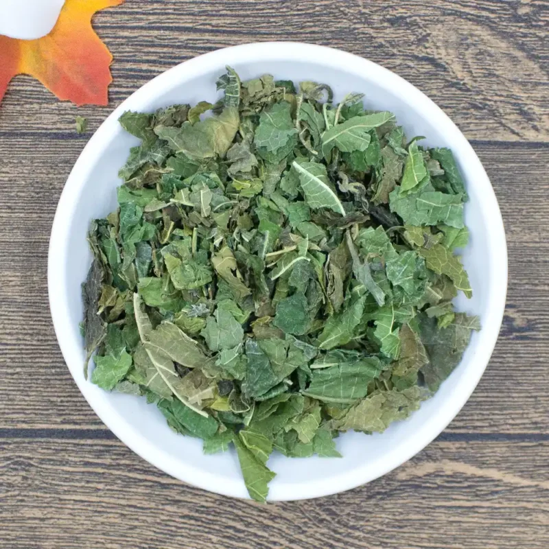 Liść morwy (Sang Ye) Dostawca hurtowy medycyny chińskiej (2)