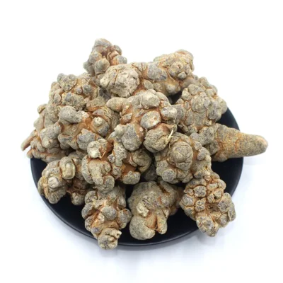 Panax Notoginseng (San Qi) Fabricante al por mayor de hierbas chinas (2)