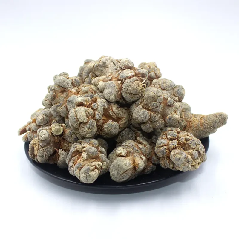 Panax Notoginseng (San Qi) Fabricante al por mayor de hierbas chinas (4)