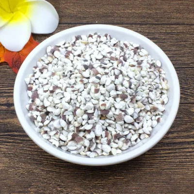 Qian Shi (Gorgon Fruit Seed) Chińscy producenci leków ziołowych (2)