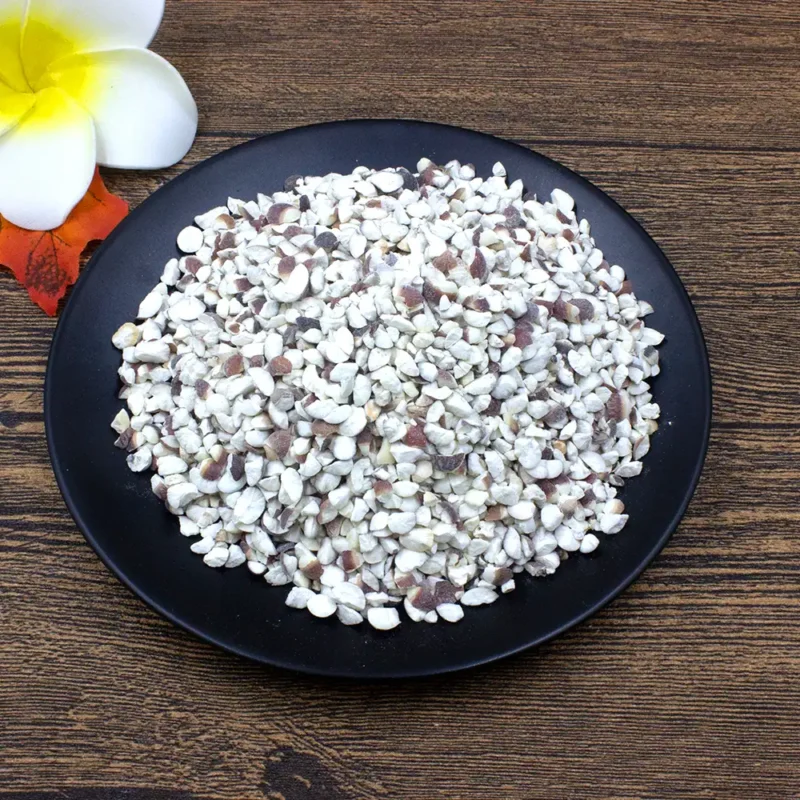 Qian Shi (Gorgon Fruit Seed) Chińscy producenci leków ziołowych (4)