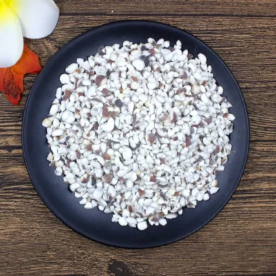 Qian Shi (Gorgon Fruit Seed) Chińscy producenci leków ziołowych (5)