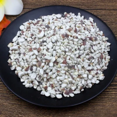 Qian Shi (Gorgon Fruit Seed) Chińscy producenci leków ziołowych (6)