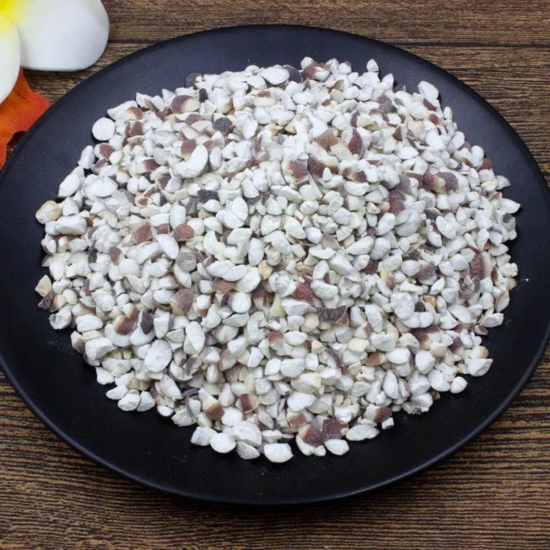 Qian Shi (Gorgon Fruit Seed) Chińscy producenci leków ziołowych (6)