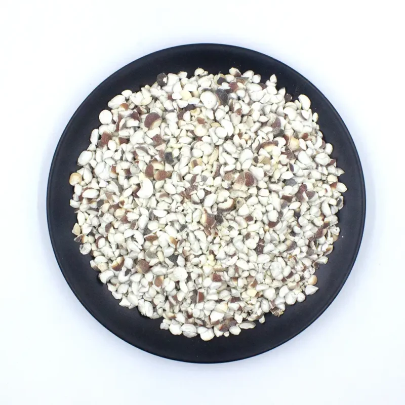 Qian Shi (Gorgon Fruit Seed) Chińscy producenci leków ziołowych (8)